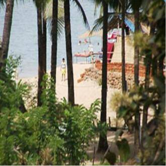 Stay In A Camping Ground In Palolem Beach, Goa 4